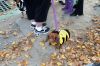 Filename=Marion_HW__0018.jpg
Filesize=456KiB
Dimensions=1500x1000
Date added=Nov 04, 2009 Marion_HW__0018.jpg