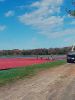 Filename=Martin_Cranberry.jpg
Filesize=109KiB
Dimensions=540x720
Date added=Oct 26, 2022 Martin_Cranberry.jpg