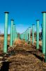 Filename=Mattapoisett-Bike-Path-11.jpg
Filesize=124KiB
Dimensions=481x720
Date added=Feb 19, 2020 Mattapoisett-Bike-Path-11.jpg