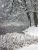 Filename=MattapoisettRiver_2.jpg
Filesize=178KiB
Dimensions=549x720
Date added=Mar 15, 2017 MattapoisettRiver_2.jpg