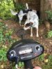 Filename=MetalDetector_0701.jpg
Filesize=178KiB
Dimensions=648x864
Date added=Sep 06, 2017 MetalDetector_0701.jpg
