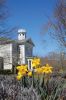 Mick-040623-Daffodils-Taber-Library.jpg