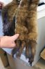 Filename=MonkeyCape_4446.jpg
Filesize=110KiB
Dimensions=648x972
Date added=Apr 29, 2015 MonkeyCape_4446.jpg