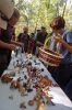 Filename=Mushroom_4173.jpg
Filesize=121KiB
Dimensions=480x720
Date added=Oct 03, 2018 Mushroom_4173.jpg