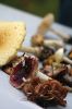 Filename=Mushroom_4257.jpg
Filesize=61KiB
Dimensions=480x720
Date added=Oct 03, 2018 Mushroom_4257.jpg