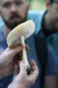 Filename=Mushroom_4289.jpg
Filesize=50KiB
Dimensions=480x720
Date added=Oct 03, 2018 Mushroom_4289.jpg