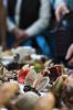Filename=Mushroom_4301.jpg
Filesize=54KiB
Dimensions=480x720
Date added=Oct 03, 2018 Mushroom_4301.jpg