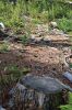 Filename=NBWW_Hike_0004.jpg
Filesize=278KiB
Dimensions=648x972
Date added=Oct 02, 2014 NBWW_Hike_0004.jpg