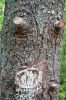 Filename=NBWW_Hike_0009.jpg
Filesize=336KiB
Dimensions=648x972
Date added=Oct 02, 2014 NBWW_Hike_0009.jpg