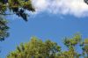 Filename=NBWW_Hike_0011.jpg
Filesize=91KiB
Dimensions=648x432
Date added=Oct 02, 2014 NBWW_Hike_0011.jpg