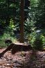 Filename=NBWW_Hike_0016.jpg
Filesize=262KiB
Dimensions=648x972
Date added=Oct 02, 2014 NBWW_Hike_0016.jpg