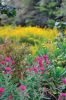Filename=NBWW_Hike_0026.jpg
Filesize=173KiB
Dimensions=648x972
Date added=Oct 02, 2014 NBWW_Hike_0026.jpg