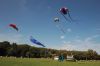 Filename=Neds-090723-5033.jpg
Filesize=127KiB
Dimensions=1080x720
Date added=Sep 06, 2023 Neds-090723-5033.jpg