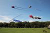 Filename=Neds-090723-5034.jpg
Filesize=149KiB
Dimensions=1080x720
Date added=Sep 06, 2023 Neds-090723-5034.jpg