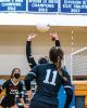 Filename=ORR-VolleyBall-8.jpg
Filesize=106KiB
Dimensions=576x720
Date added=Apr 28, 2021 ORR-VolleyBall-8.jpg