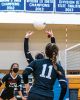 ORR-VolleyBall-8.jpg