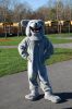 Filename=ORRfootball_TG_0002.jpg
Filesize=496KiB
Dimensions=1050x1569
Date added=Nov 24, 2011 ORRfootball_TG_0002.jpg