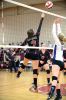 Filename=ORRvolleyball_5660.jpg
Filesize=99KiB
Dimensions=479x720
Date added=Sep 16, 2015 ORRvolleyball_5660.jpg