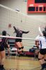 Filename=ORRvolleyball_5808.jpg
Filesize=83KiB
Dimensions=479x720
Date added=Sep 16, 2015 ORRvolleyball_5808.jpg