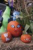 Filename=Octopurfest_4237.jpg
Filesize=137KiB
Dimensions=480x720
Date added=Oct 17, 2018 Octopurfest_4237.jpg