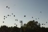 Old-Colony-cap-toss-061324-Jared.jpg