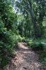Filename=Osprey_0173.jpg
Filesize=341KiB
Dimensions=648x972
Date added=Jul 31, 2014 Osprey_0173.jpg