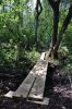 Filename=Osprey_0177.jpg
Filesize=308KiB
Dimensions=648x972
Date added=Jul 31, 2014 Osprey_0177.jpg