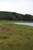 Filename=Osprey_0190.jpg
Filesize=156KiB
Dimensions=648x972
Date added=Jul 31, 2014 Osprey_0190.jpg