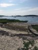 Filename=Oyster_3712.jpg
Filesize=126KiB
Dimensions=540x720
Date added=Jul 17, 2019 Oyster_3712.jpg