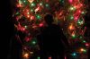 Filename=Park_Kid.jpg
Filesize=140KiB
Dimensions=864x576
Date added=Dec 12, 2012 Park_Kid.jpg