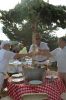 Filename=Picnic-081122--17_36_40.jpg
Filesize=109KiB
Dimensions=480x720
Date added=Aug 10, 2022 Picnic-081122--17_36_40.jpg