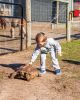 Filename=Pine-Meadow-Alpacas-7.jpg
Filesize=201KiB
Dimensions=576x720
Date added=Nov 24, 2020 Pine-Meadow-Alpacas-7.jpg