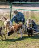 Filename=Pine-Meadow-Alpacas-8.jpg
Filesize=221KiB
Dimensions=576x720
Date added=Nov 24, 2020 Pine-Meadow-Alpacas-8.jpg