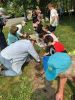 Planting_3184.jpg