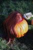 Pumpkin-Palooza-110322-Mick-14_16_06.jpg