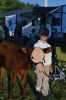 Filename=RCF1_0124.jpg
Filesize=165KiB
Dimensions=648x972
Date added=Aug 19, 2014 RCF1_0124.jpg