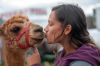 Filename=RCF_F_9361.jpg
Filesize=137KiB
Dimensions=1084x720
Date added=Aug 23, 2018 RCF_F_9361.jpg