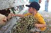 Filename=RCF_Sat_6149.gif
Filesize=264KiB
Dimensions=720x479
Date added=Aug 18, 2015 RCF_Sat_6149.gif