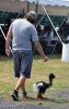 Filename=RCF_sat_8921.jpg
Filesize=113KiB
Dimensions=455x720
Date added=Aug 23, 2017 RCF_sat_8921.jpg