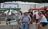 Filename=RCF_sat_8945.jpg
Filesize=189KiB
Dimensions=1192x720
Date added=Aug 23, 2017 RCF_sat_8945.jpg