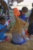 Filename=RCF_sun_7023.jpg
Filesize=112KiB
Dimensions=480x720
Date added=Aug 23, 2017 RCF_sun_7023.jpg