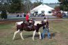 RO-Cong-Ch-Fair-110923-41.jpg