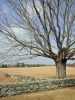Filename=RO-EastoverFarm.jpg
Filesize=733KiB
Dimensions=1200x1600
Date added=Dec 01, 2005 RO-EastoverFarm.jpg
