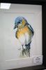 Filename=ROcoa-Art-082924-Mick-70.jpg
Filesize=46KiB
Dimensions=480x720
Date added=Aug 28, 2024 ROcoa-Art-082924-Mick-70.jpg