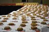 Filename=ROtreeLighting_1383.jpg
Filesize=185KiB
Dimensions=1080x720
Date added=Dec 07, 2017 ROtreeLighting_1383.jpg
