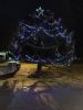 ROtreeLighting_9587.jpg