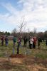 Filename=ROtree_4416.jpg
Filesize=178KiB
Dimensions=648x972
Date added=Apr 29, 2015 ROtree_4416.jpg