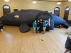 Right-Whale-062923_6343.jpg