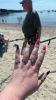 Rings-072524-are-back.jpg