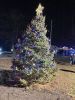 Filename=RoTreeLighting_6476.jpg
Filesize=153KiB
Dimensions=540x720
Date added=Dec 11, 2024 RoTreeLighting_6476.jpg